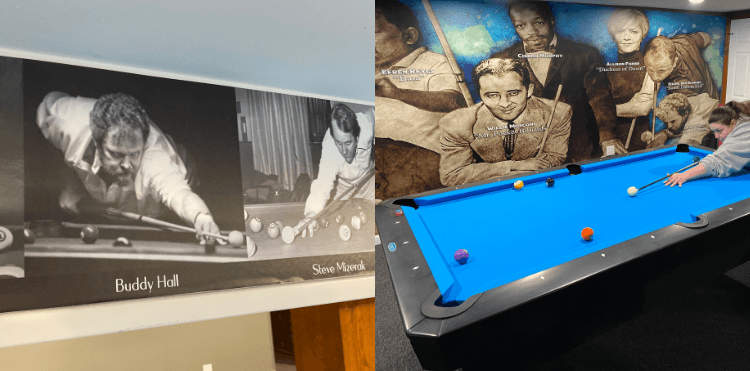 Pool and Billiards Murals & Wall Borders homepage combined image