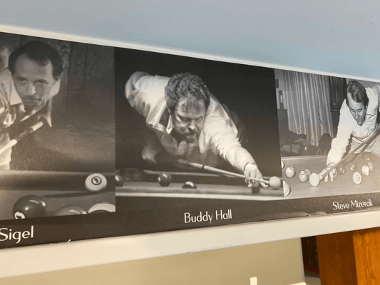 "Pool Royalty" Wall Border